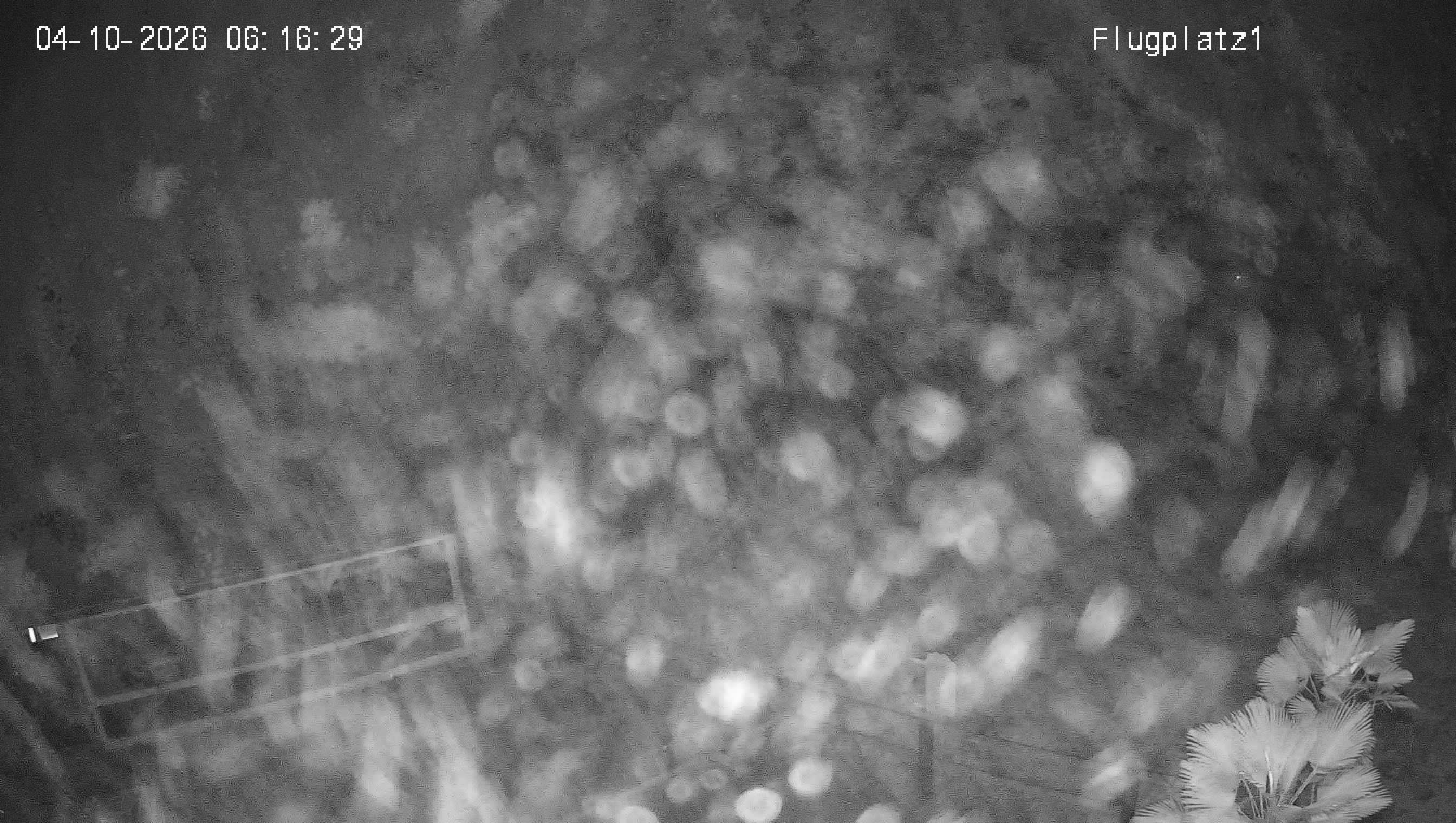 files/content/Webcam/192.168.88.34_01_20261004074630433_TIMING.jpg